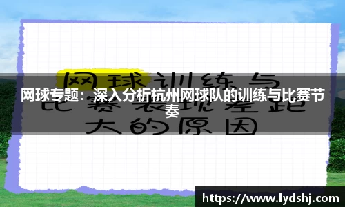 VSport - 胜利因您更精彩