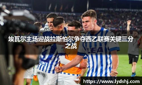 VSport官方网站