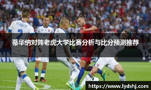 VSport官方网站